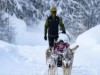 Image 40