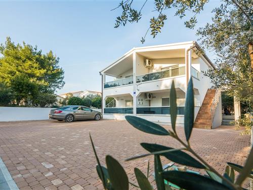 Ferielejlighed - 4 personer -  - Put Rosulja - 23234 - Vir