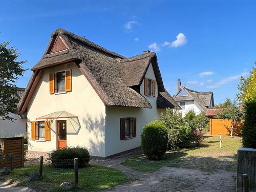 Feriehus - 5 personer -  - Fischerstieg - 23999 - Insel Poel / Timmendorf S