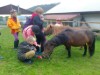 Bild 18