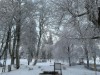 Bild 43