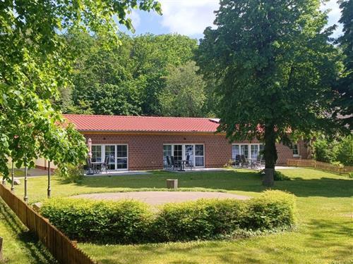 Ferienhaus - 4 Personen -  - Baumgartenbrück - 14548 - Schwielowsee / Geltow