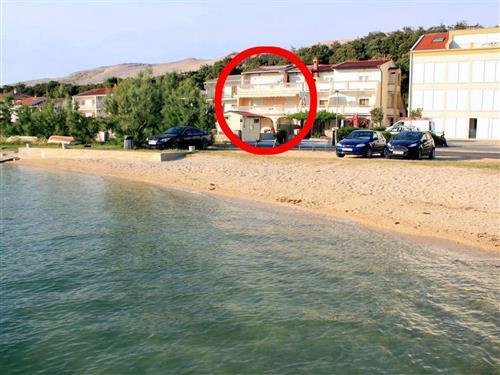 Holiday apartment - 4 persons -  - Ante Starcevica - 23250 - Pag