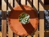 Bilde 25 - Inne