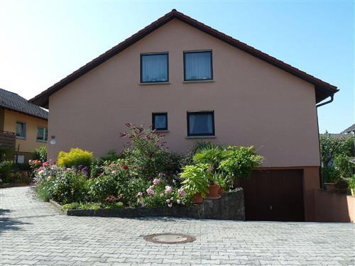 Holiday apartment - 2 persons -  - Friedrich-Ebert-Straße - 97999 - Igersheim
