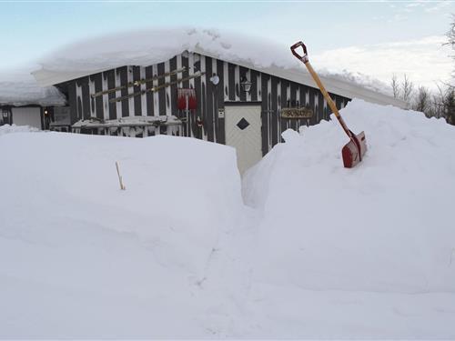 Feriehus / leilighet - 11 personer -  - Ustaosvegen - Ustaoset, Geilo - 3593 - Ustaoset