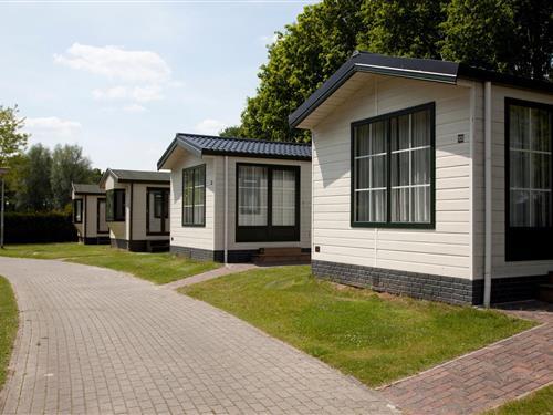 Chalet - 4 personer -  - 9514BW - Gasselternijveen