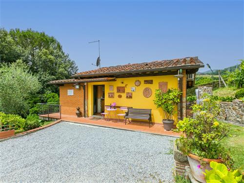 Ferienhaus - 4 Personen -  - Pescia - 51017