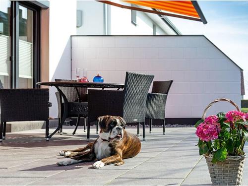 Sommerhus - 4 personer -  - 18556 - Breege, Ostsee, Rügen