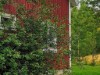 Billede 18 - Ude