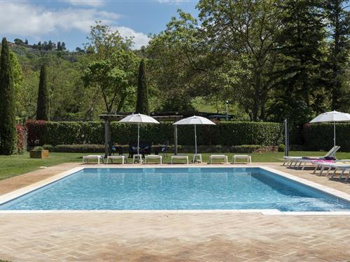 Hytte - 4 personer -  - 52046 - Lucignano