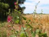 Bild 19