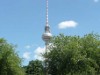 Bild 34