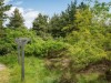 Billede 25 - Grund