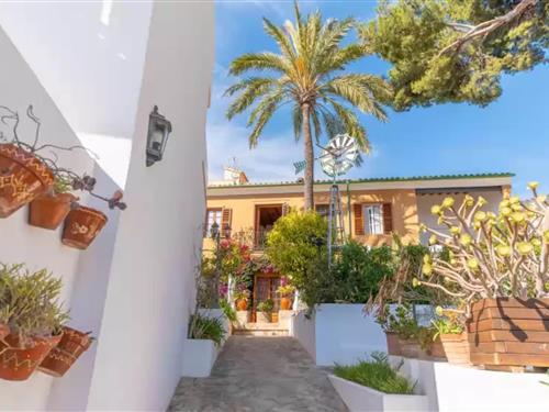 Feriehus / leilighet - 8 personer -  - 07015 - Gènova (Palma), Illes Bal