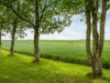 Bild 52