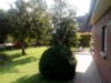 Bilde 4
