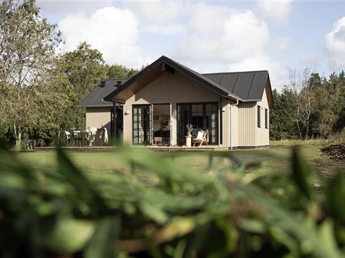 Feriehus - 8 personer -  - Horsevej - 6854 - Henne Strand