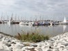 Billede 31