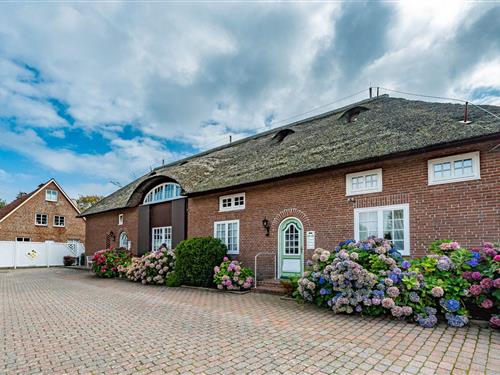 Ferielejlighed - 4 personer -  - Zwischen den Hedigen - 25980 - Sylt