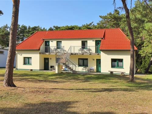 Ferielejlighed - 4 personer -  - Hinter der Düne - Ferienappartement - Juliusruh - 18556 - Altenkirchen