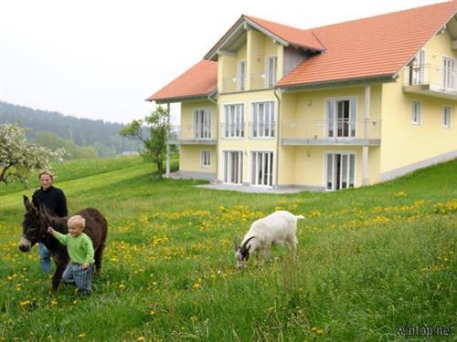 Ferienhaus - 4 Personen -  - Ödhof - 94051 - Hauzenberg