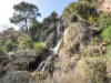 Image 13