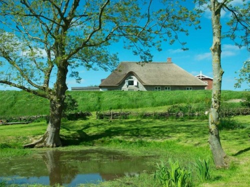 Sommerhus - 5 personer -  - 25882 - Tetenbüll-Wasserkoog