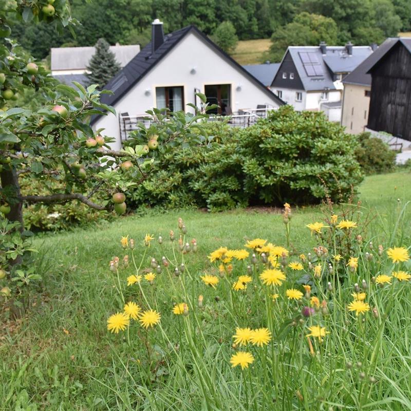 Ferielejlighed - 2 personer -  - August-Bebel-Straße - 01773 - Bärenstein