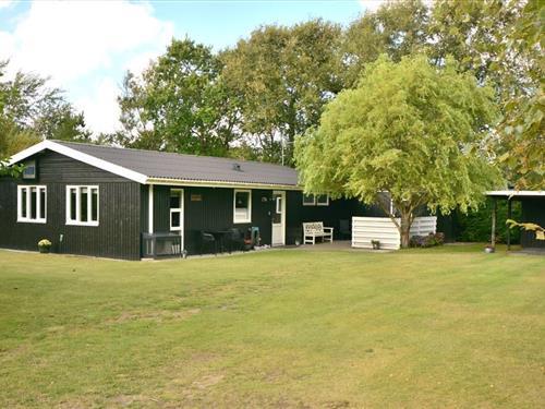 Sommerhus - 6 personer -  - Røllikevej - Nørhede - 6990 - Ulfborg
