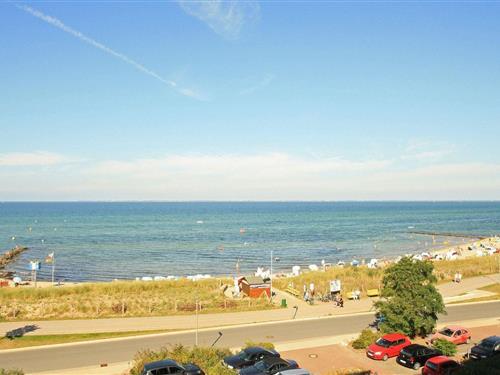 Ferielejlighed - 2 personer -  - Steinwarder - 23774 - Heiligenhafen