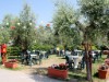 Bild 19 - Inde