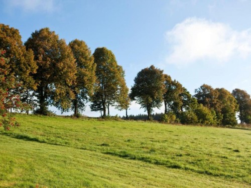 Ferielejlighed - 4 personer -  - 59955 - Winterberg