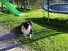 Bild 13