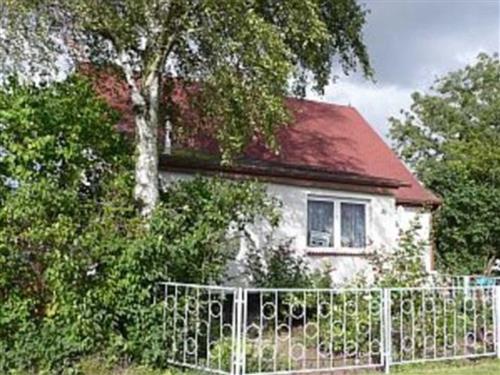 Ferieleilighet - 4 personer -  - OT Dumsevitz, Dorfstraße - 18574 - Garz