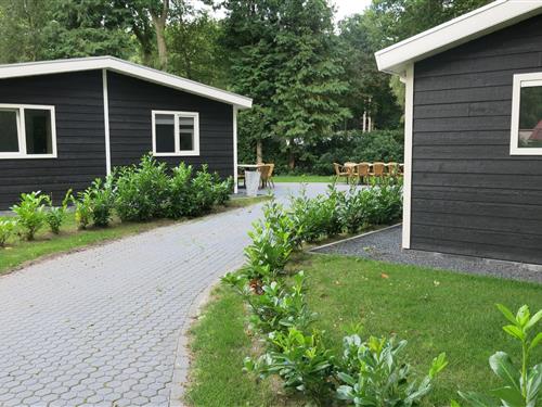 Feriehus - 16 personer -  - 8346KB - De Bult - Steenwijk