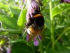 Bild 19