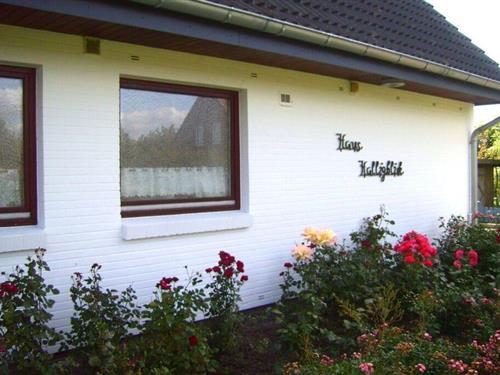 Holiday Home/Apartment - 6 persons -  - 25899 - Dagebüll