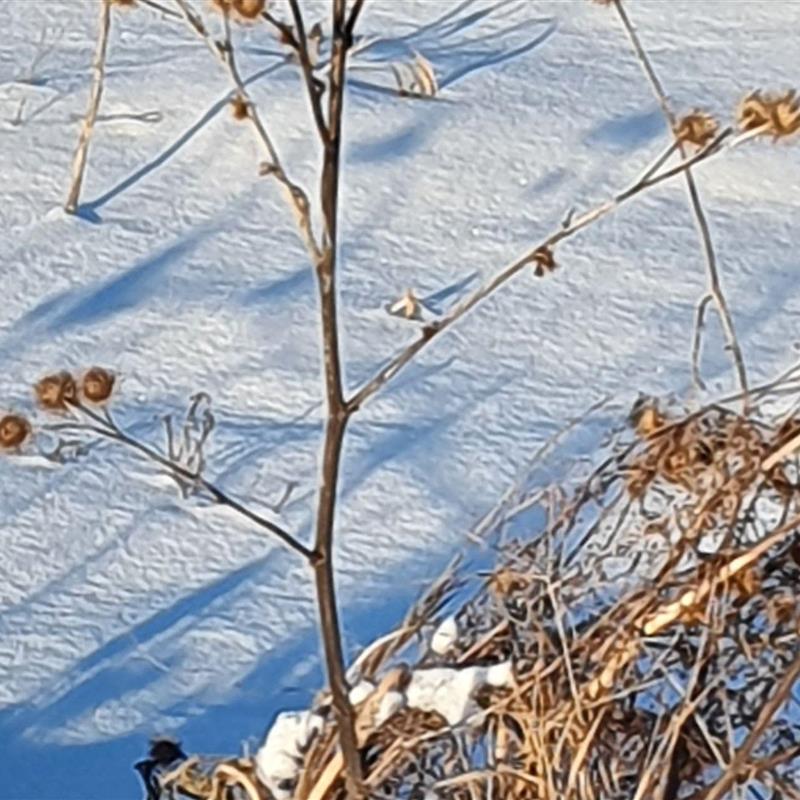 Ferielejlighed - 5 personer -  - Amtsstieg 20 A - 29525 - Uelzen