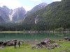 Bild 21