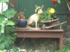 Bild 15