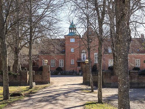 Feriehus - 2 personer -  - Saunte Bygade - 3100 - Hornbæk