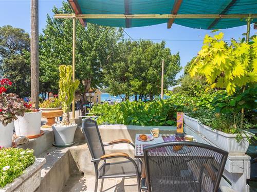 Holiday apartment - 2 persons -  - Obala - Krk-Punat - 51521 - Punat