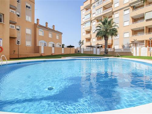 Semesterlägenhet - 4 personer -  - Avda Costablanca 39 2º pta - 03195 - Los Arenales Del Sol