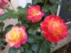 Bild 15 - Aussen