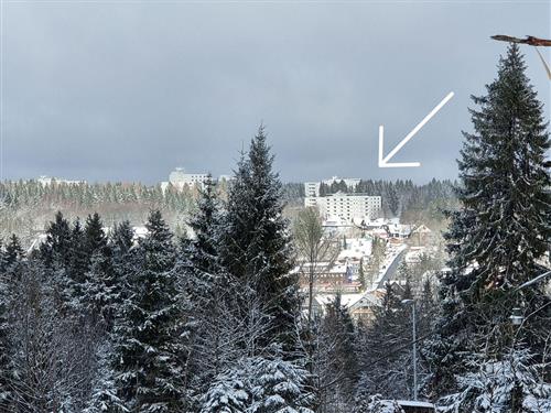 Semesterhus/Semesterlägenhet - 4 personer -  - Am Hahnenkleer Berg - 38644 - Goslar / Hahnenklee