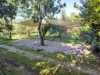 Bild 10 - Ude