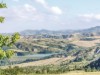 Billede 9
