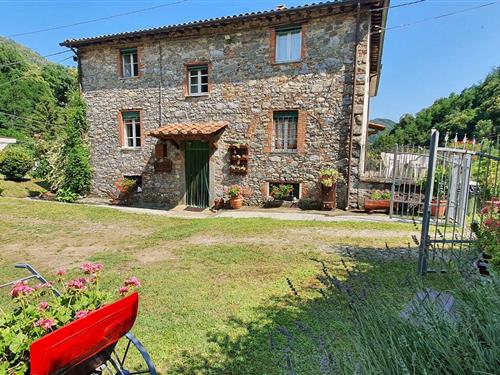 Ferienhaus - 6 Personen -  - 55064 - Pescaglia