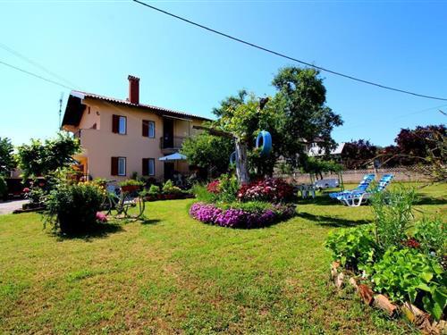 Holiday Home/Apartment - 4 persons -  - Stancija Portun - 52440 - Porec